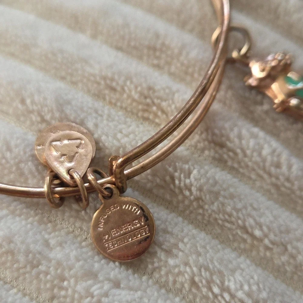 Set 2 Alex And Ani Rose Gold Braceleys